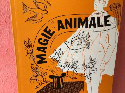 Magie Animale - Tome 2