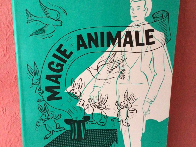 Magie Animale - Tome 3
